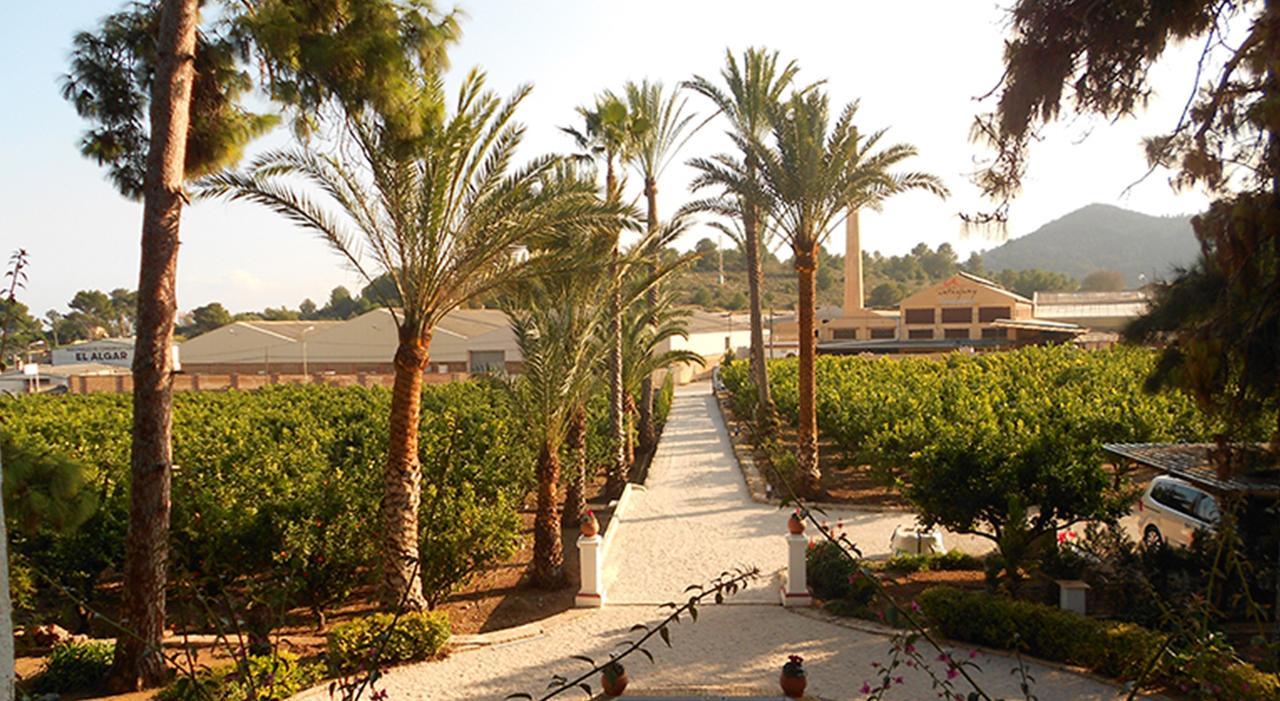 El Sequer Casa Rural Oliva Εξωτερικό φωτογραφία