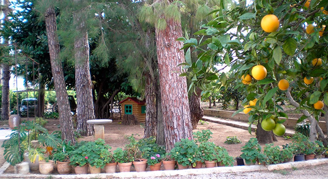 El Sequer Casa Rural Oliva Εξωτερικό φωτογραφία